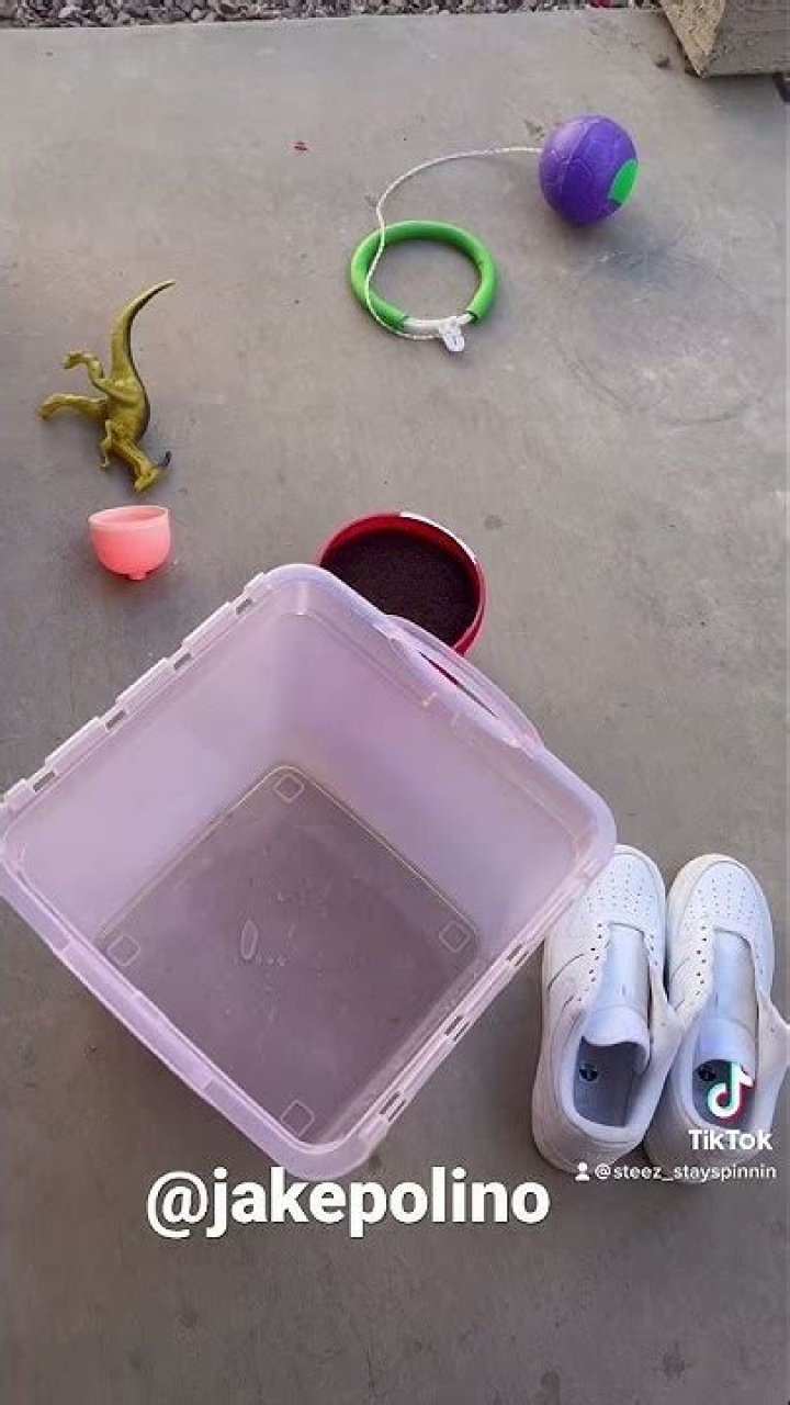 Jake Polino - Age, Family, Bio