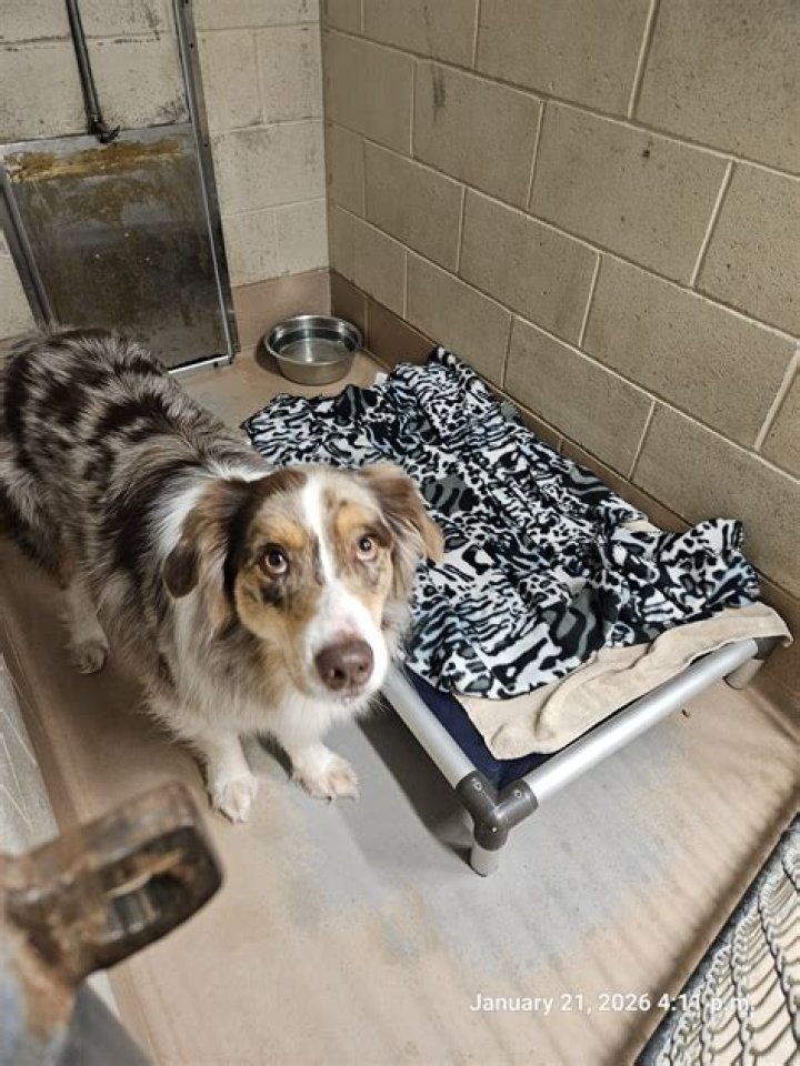 January 21 Birthdays By Profession