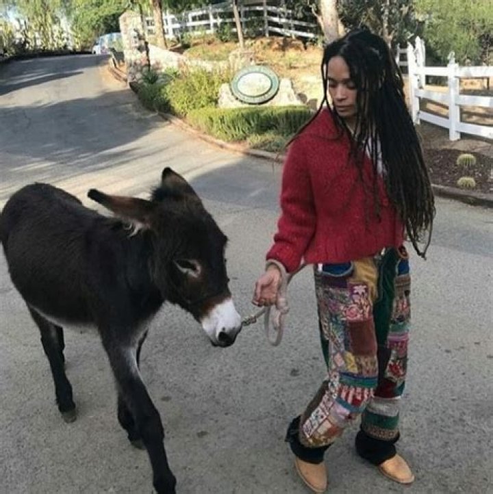 Jason Momoa Pets - Celebrity Pets