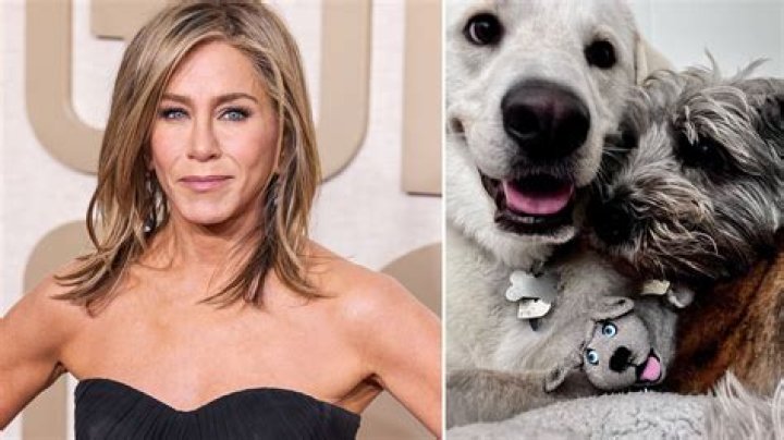 Jennifer Aniston’s dog Norman has passed away at the age of 15