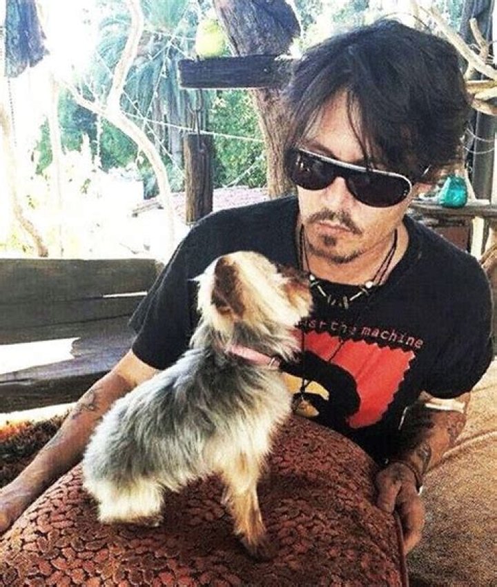 Johnny Depp Pets - Celebrity Pets
