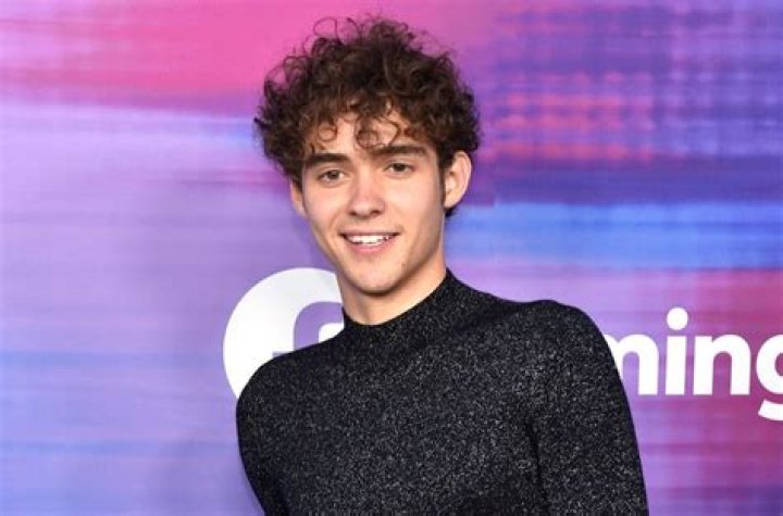 Joshua Bassett Net Worth - Wiki, Age, Weight and Height, Relationships, Family, and More
