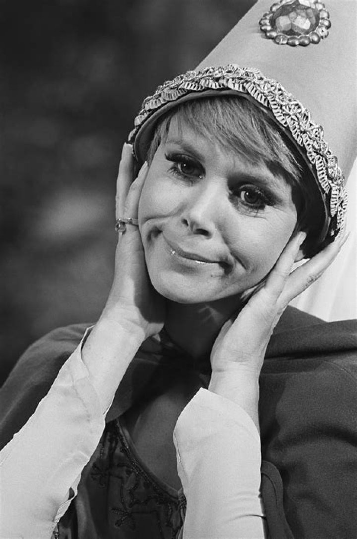 Judy Carne - Trivia, Family, Bio