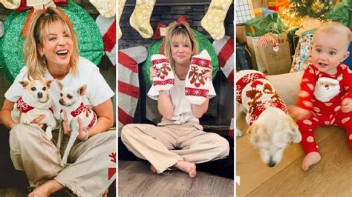 Kaley Cuoco Donates 500 Holiday Sweaters to Shelter Dogs