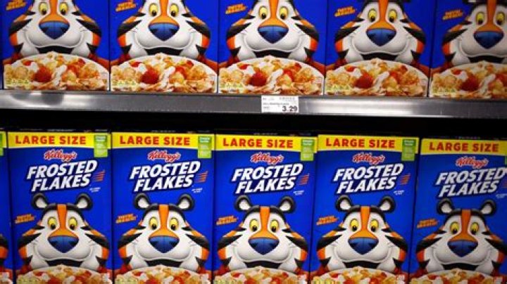 Kelloggs Ceo Gary Pilnick Wikipedia And Age: How Old Is He? Family Background