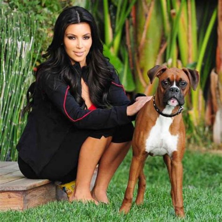 Kim Kardashian Pets - Celebrity Pets