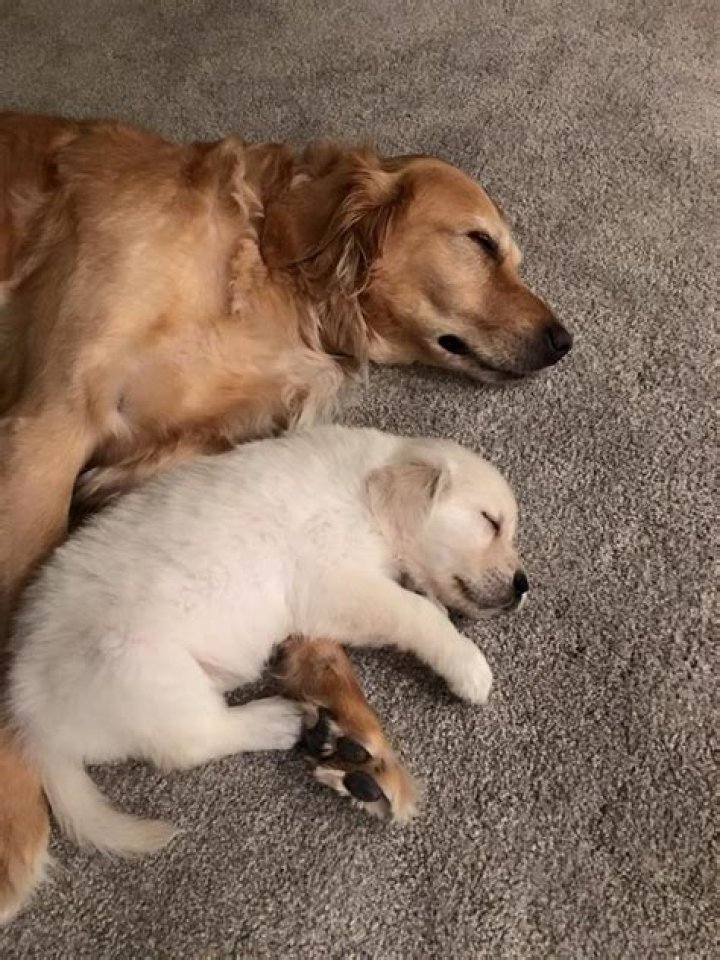 Kona Family Fun Pack - Trivia, Family, Bio