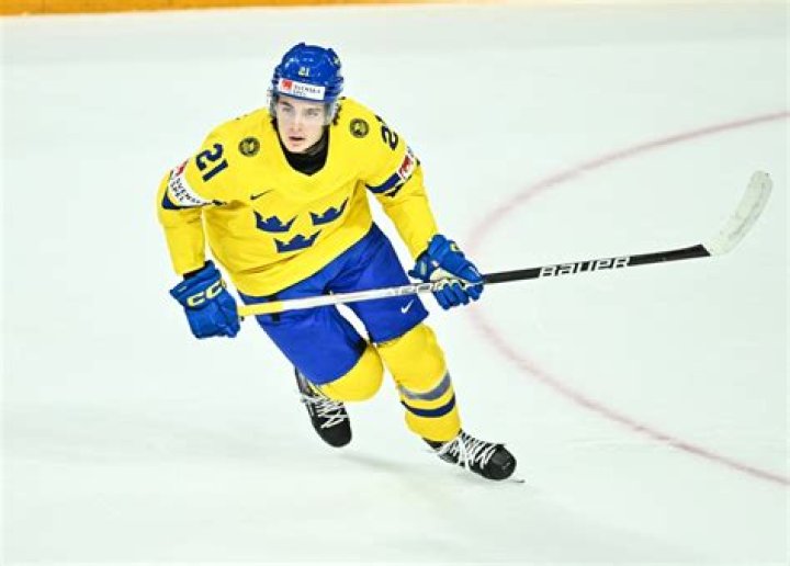 Leo Carlsson Girlfriend – Is He Dating In 2023? Dating History And Partner