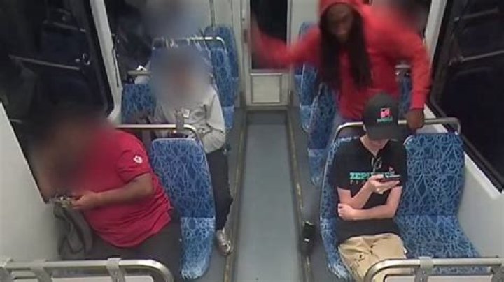 Logan Square Stabbing Video Footage Gone Viral, 25-Year-Old Woman Injured