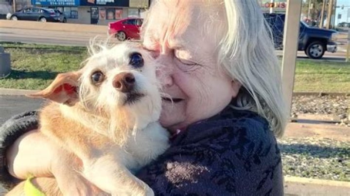 Lost Senior Dog Reunited in San Francisco in 5 Hour Chase