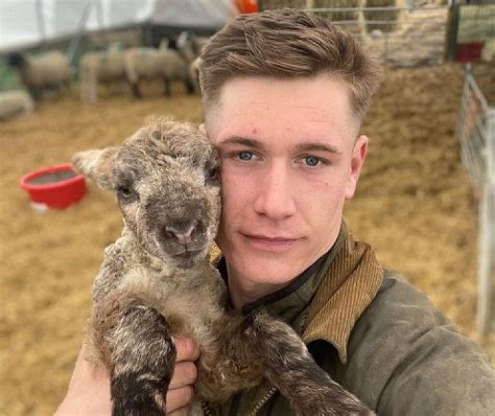 Love Island: Is Farmer Will Young Gay? Sexuality Partner And TikTok