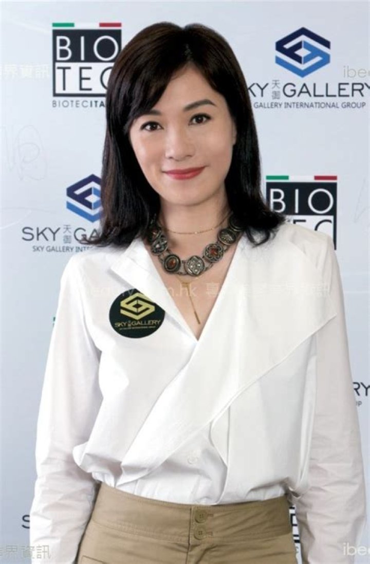Maggie Cheung Ho-yee - Age, Family, Bio