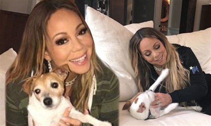 Mariah Carey Pets - Celebrity Pets