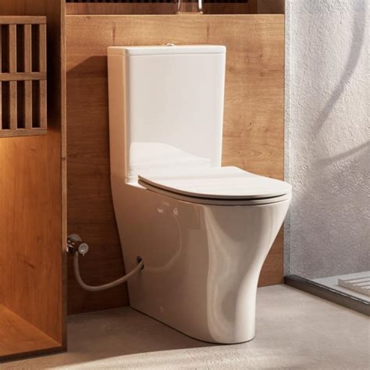 Meghan Trainor posted a video showing her side by side toilets