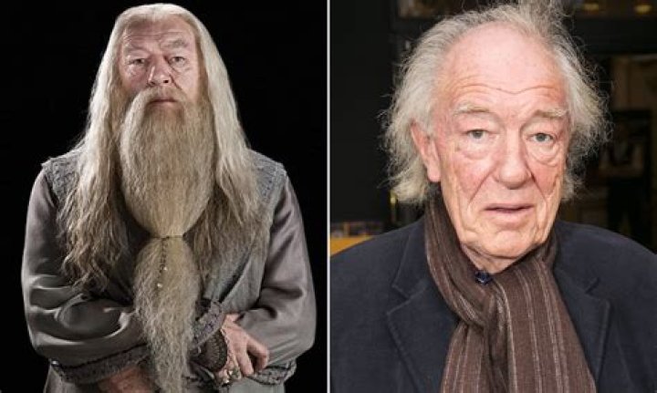 Harry Potter actor Michael Gambon dies at age 82