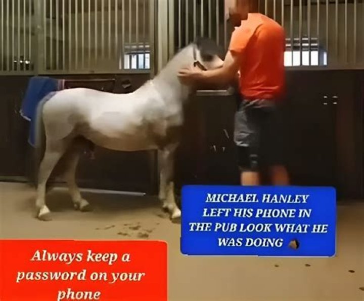 Michael Hanley Horse Video Gone Viral, What Is It About?