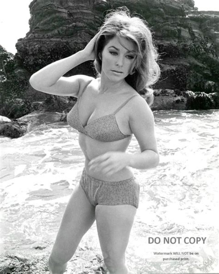 Michele Carey Net Worth - Wiki, Age, Weight and Height, Relationships, Family, and More