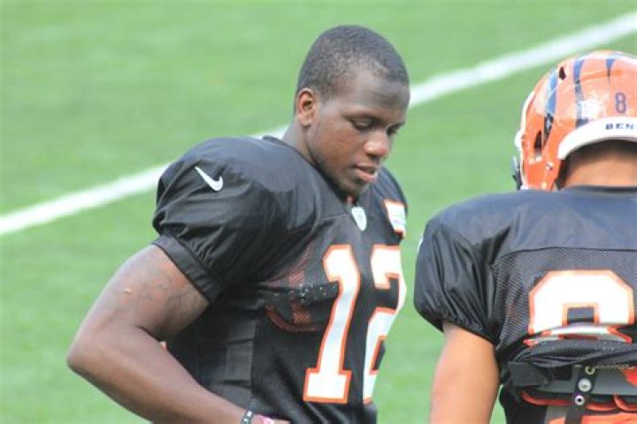 Mohamed Sanu Bio (Wiki) 