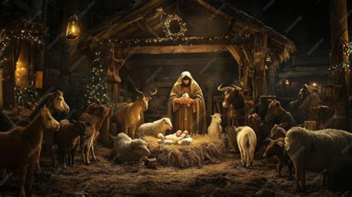 Nativity 3: Dude, Where's My Donkey?