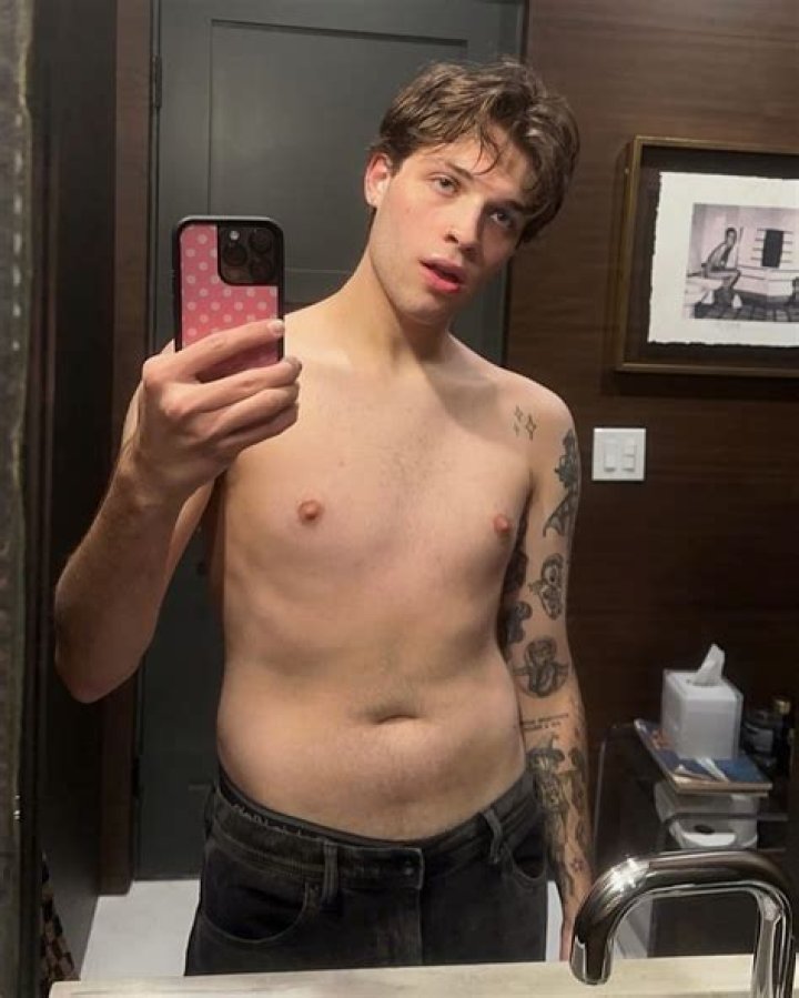 "The Gay Triplet" Nicolas Sturniolo Had to Privately DM an Accuser on Twitter