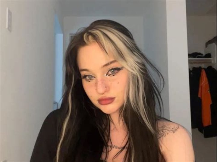 Nihachu Pets - Celebrity Pets