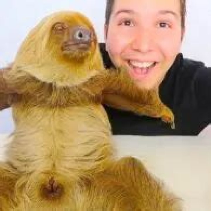 Nikocado Avocado Pets - Celebrity Pets