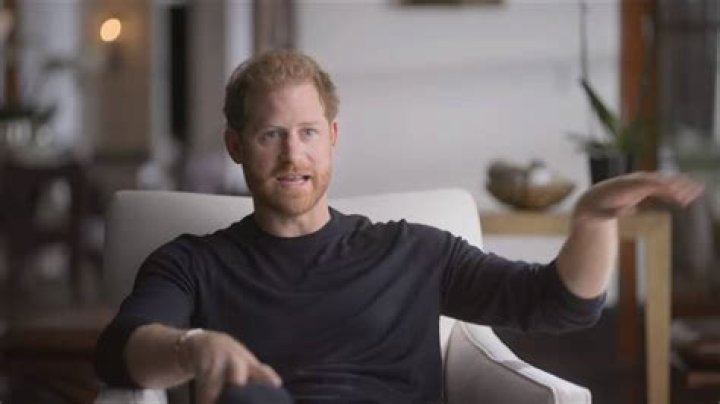 NYT columnist hopes that Prince Harry eventually ‘lays down his title’