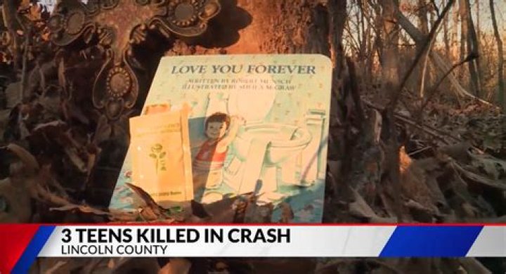 Obituary: Emily Mcnees Car Accident Details Age And Family