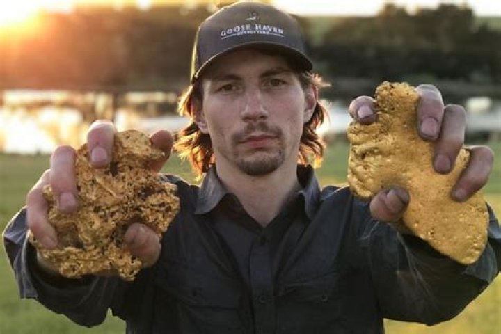 Parker Sawyers Bio (Wiki) 