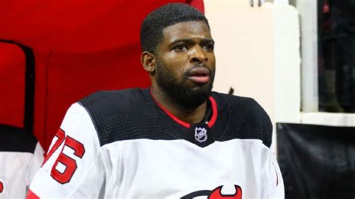 P.K. Subban Net Worth - Wiki, Age, Weight and Height, Relationships, Family, and More