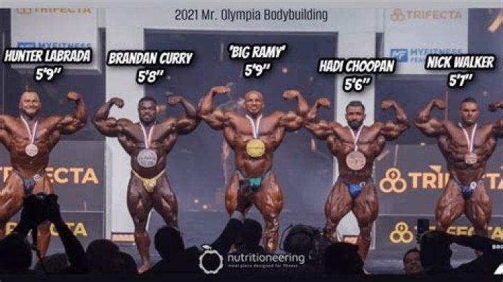 Polly Walker Height, Weight, Net Worth, Age, Birthday, Wikipedia, Who, Nationality, Biography