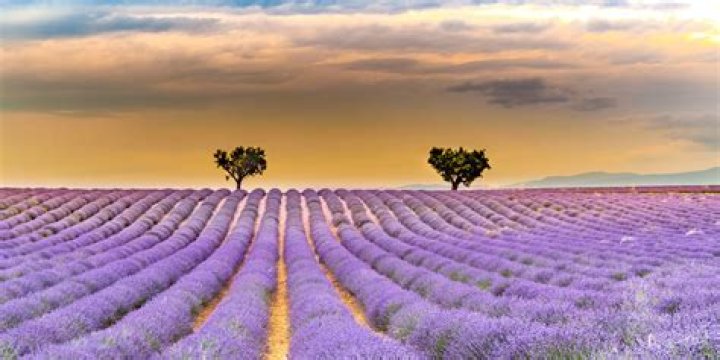 Insider's Guide to Provence, France