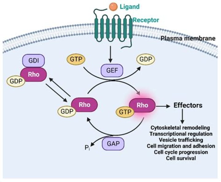 Shocking Video Of Police Standoff At 'RHOC' Star's Home Leaks