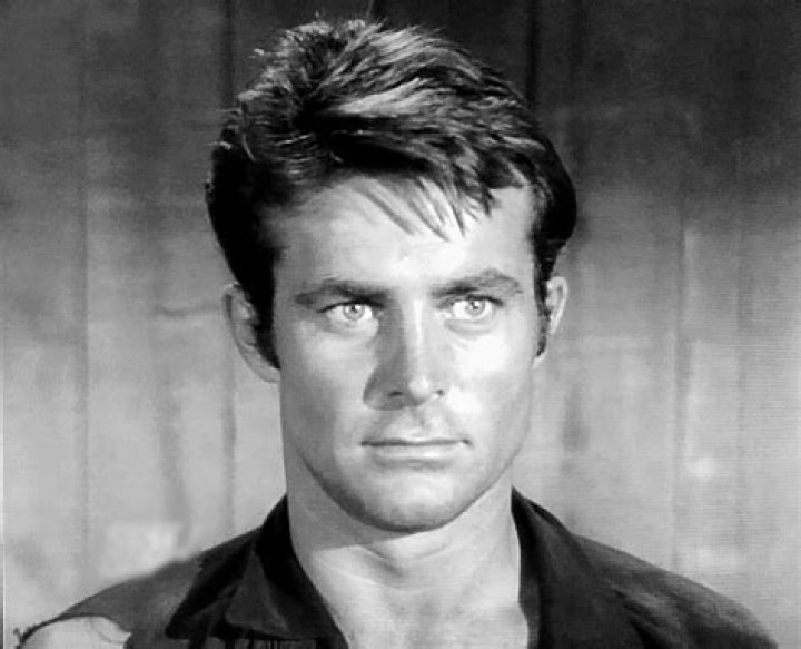 Robert Conrad Net Worth - Wiki, Age, Weight and Height, Relationships, Family, and More