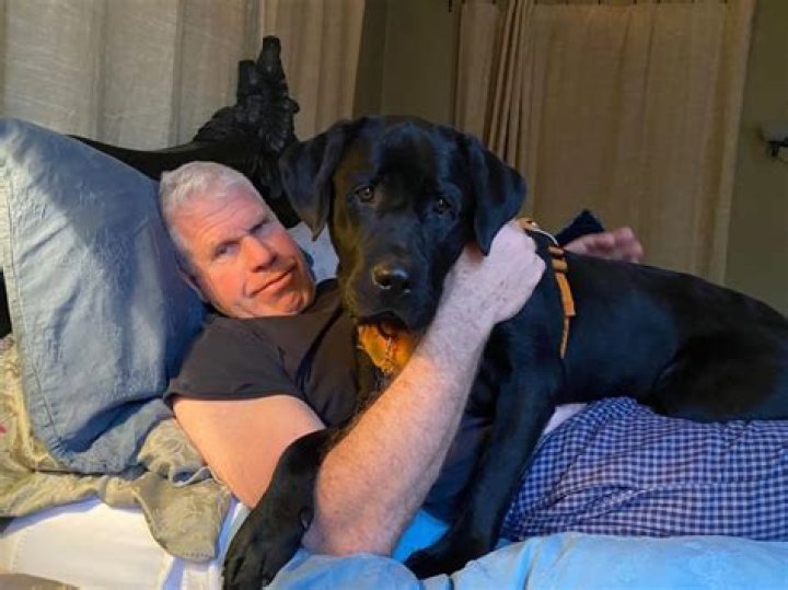 Ron Perlman Pets - Celebrity Pets