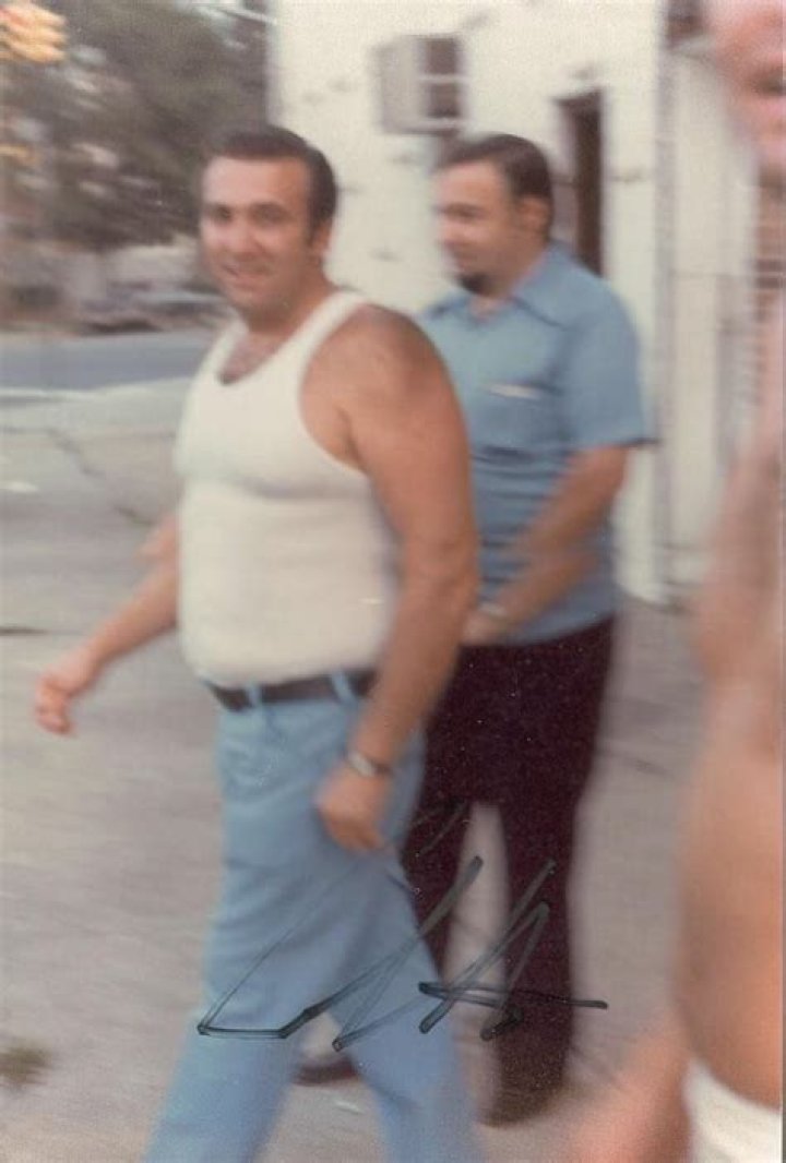 Roy Demeo - Trivia, Family, Bio