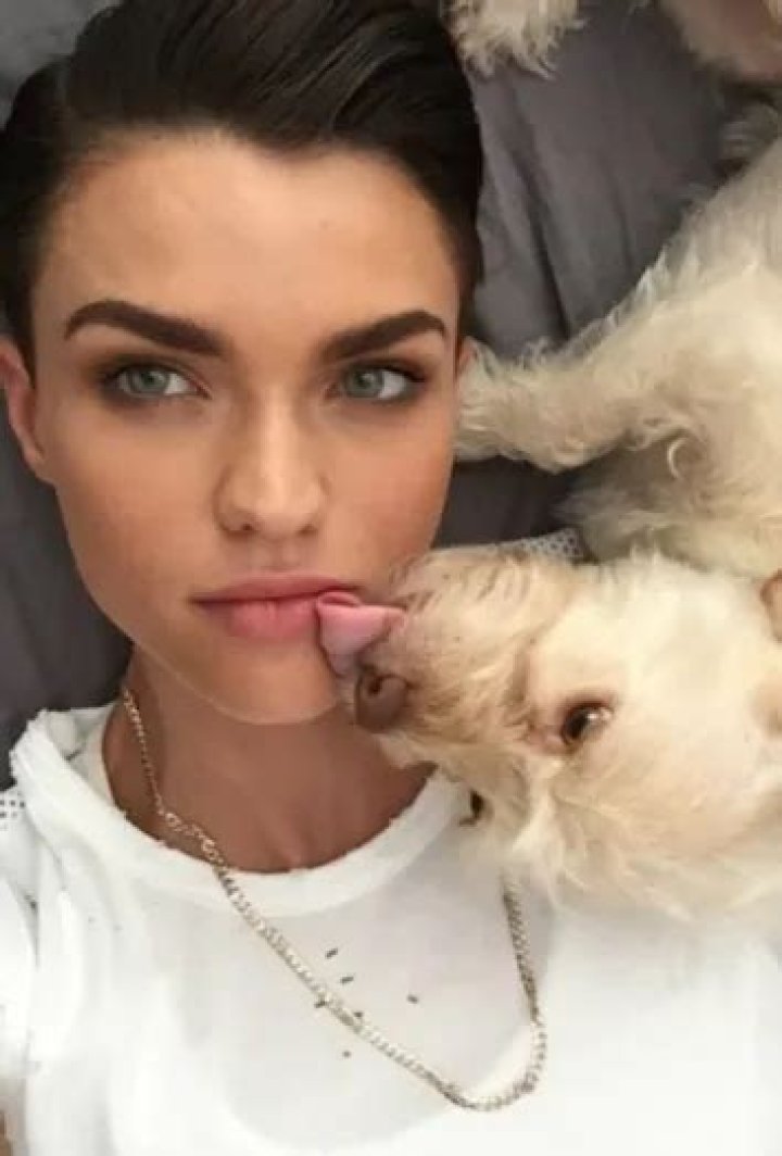 Ruby Rose Pets - Celebrity Pets