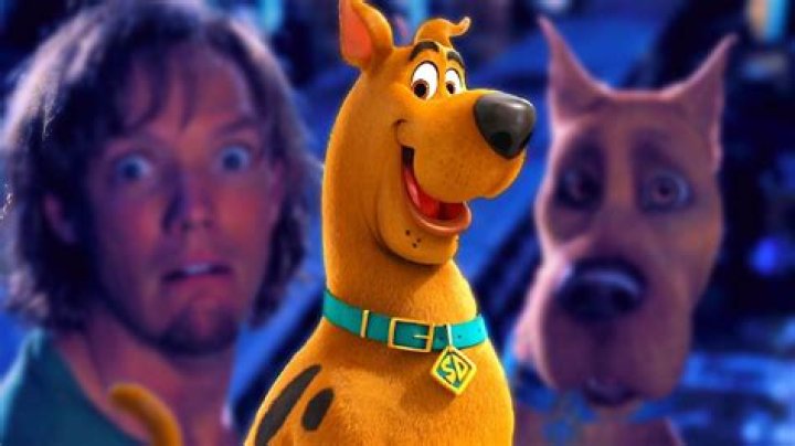 Scooby-Doo 2: Monsters Unleashed | Famous Birthdays