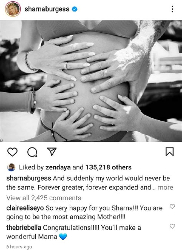 Sharna Burgess Bio (Wiki) 