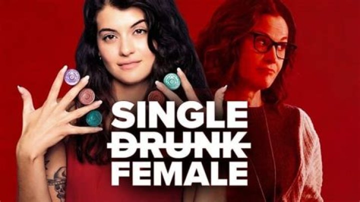 Is Single Drunk Female on Netflix? (Where to watch)