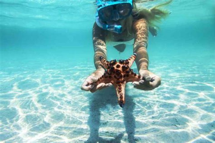 8 Best Spots for Snorkeling in Aruba