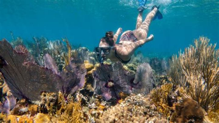 The Best Places to Go Snorkeling in Belize