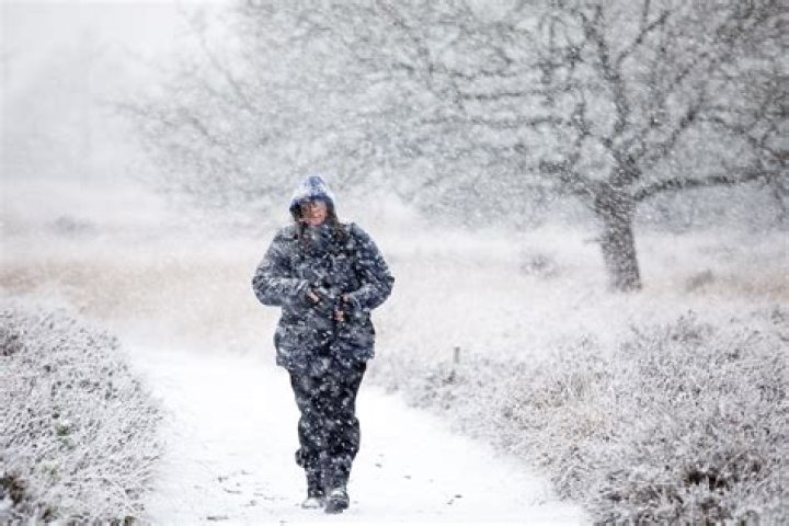 Snowfall - Cast, Ages, Trivia