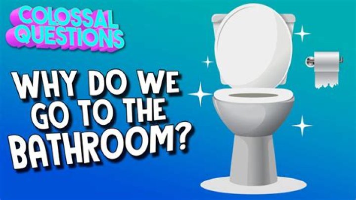 The Circle contestants only had privacy in the bathroom when they asked for it (no spoilers)
