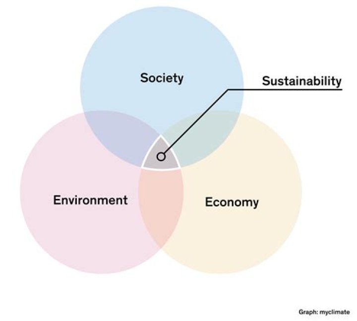 The ‘She Said’ promo is already making a point of ignoring producer Brad Pitt