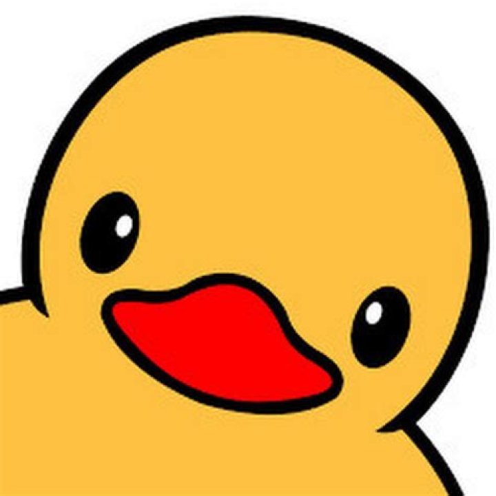 TheDuckVoice - Age, Family, Bio
