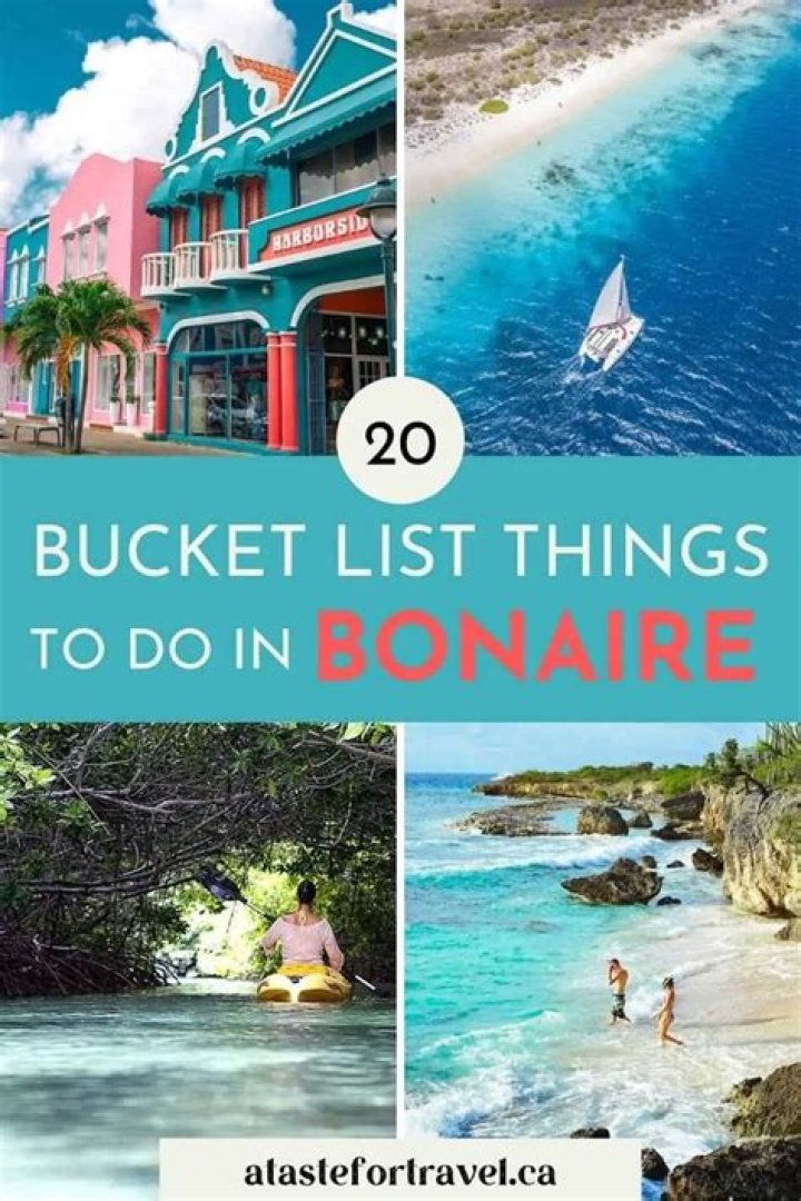 12 Top Things to Do in Bonaire