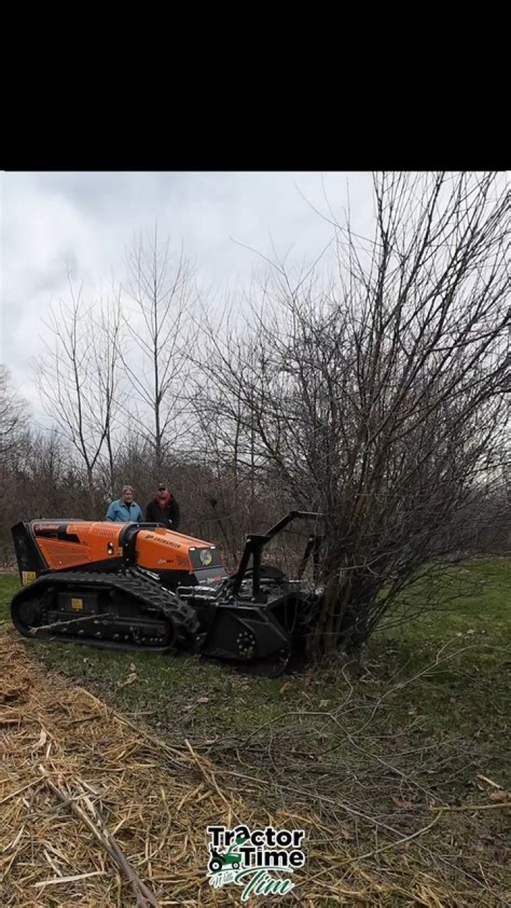 Tim Videos - Age, Family, Bio