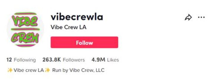Vibe Crew LA Tiktok - In-Depth Details on Vibecrewla Squad Members, Formation & More
