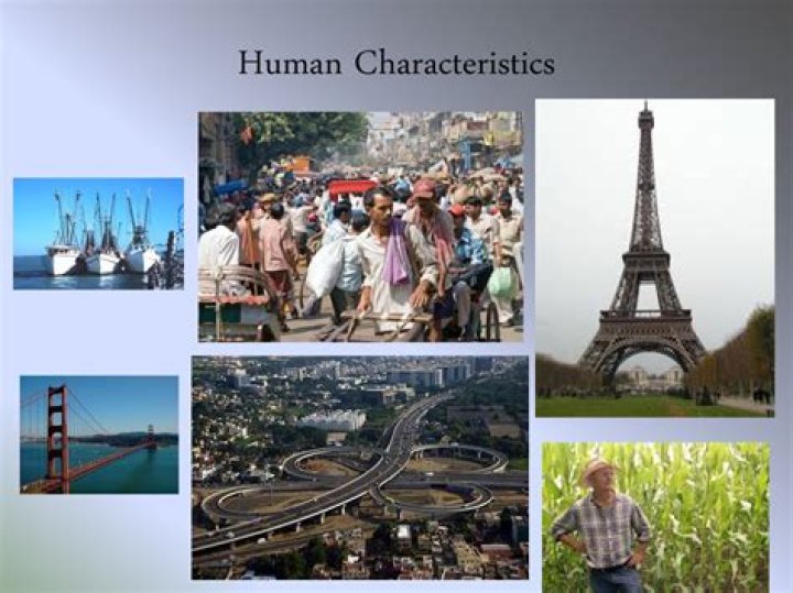 What are human characteristics in geography?